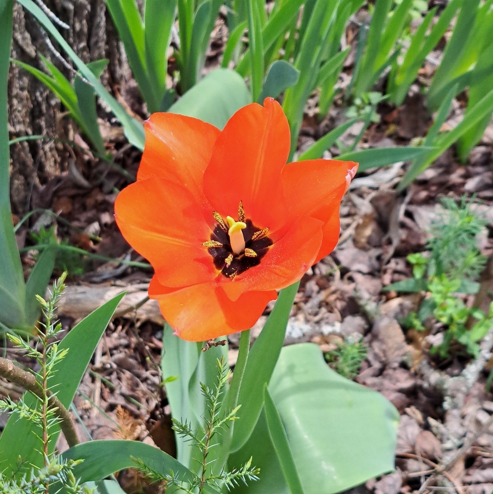 Meet your Posher, Brit